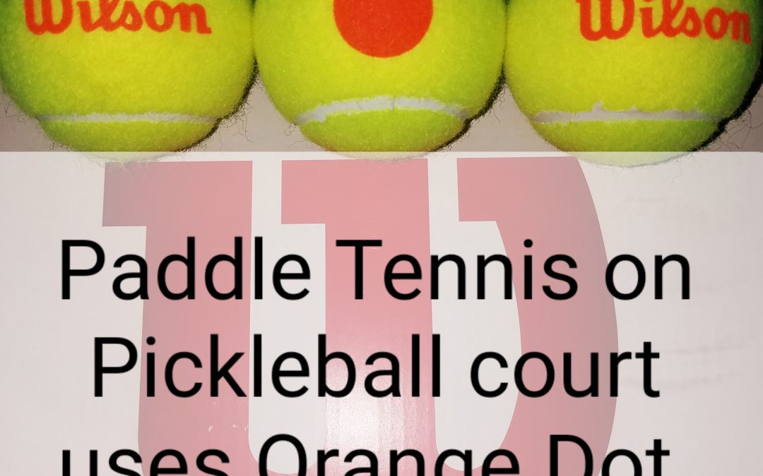 Paddle Tennis on a Pickleball court is still Paddle Tennis, and Spec Tennis.